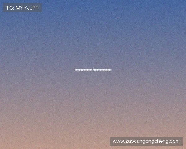 飞极速快线官网全新上线 完美体验让你畅游网络世界